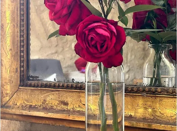 Appartement Le Balconnet Sarlat-la-Canéda